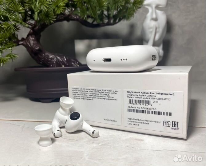 Airpods pro 2 чип 2024