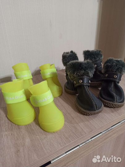 Обувь для собачки