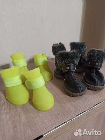 Обувь для собачки