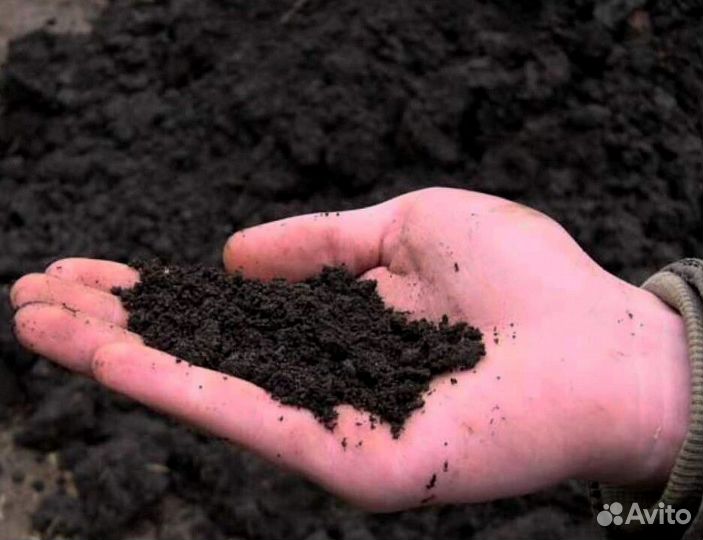 Торфо-грунт (Земля)