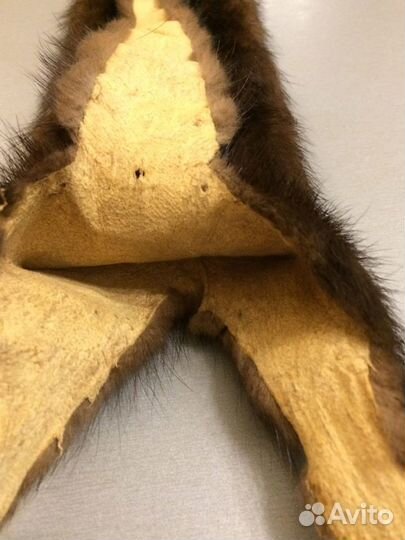 Норка шкурка