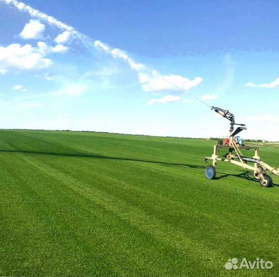 Газон. Рулонный газон