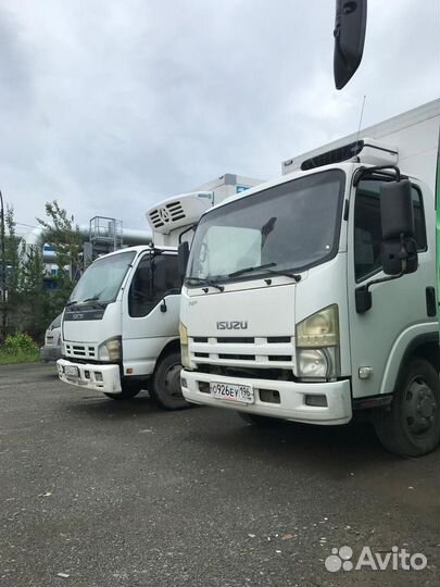 Водитель категории с на рефрижератор