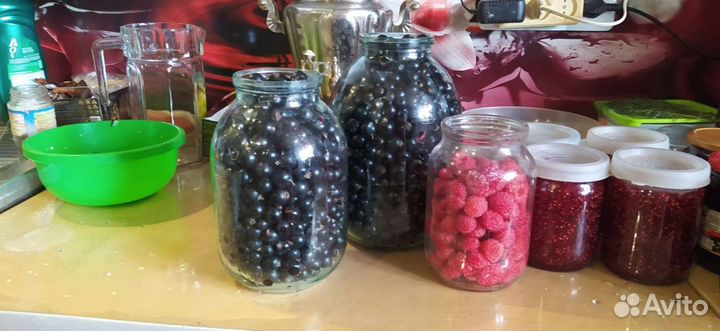 Черная смородина крупная