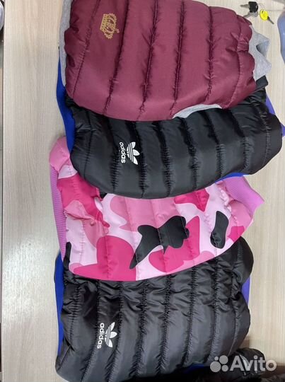 Одежда для собак