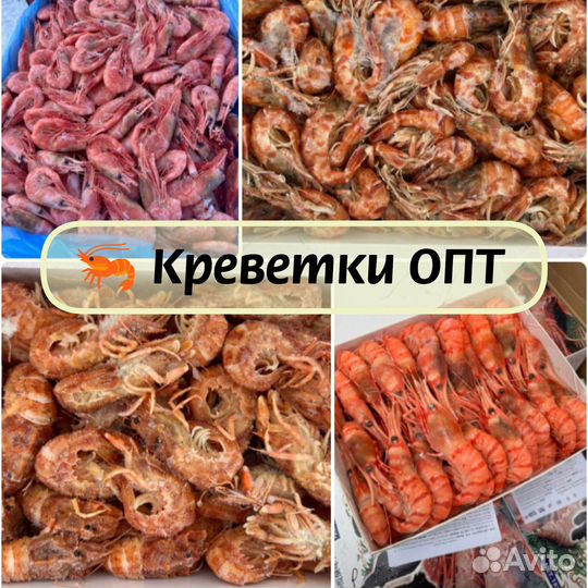 Морепродукты оптом большой ассортимент