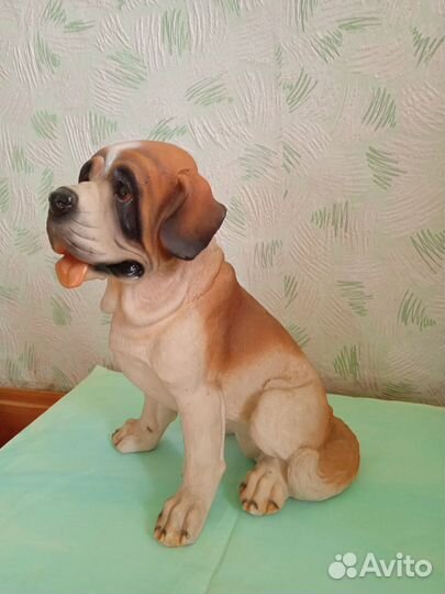 Собака ростовая, сенбернар