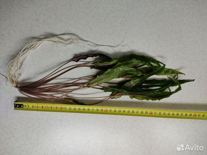 Аквариумная прополка