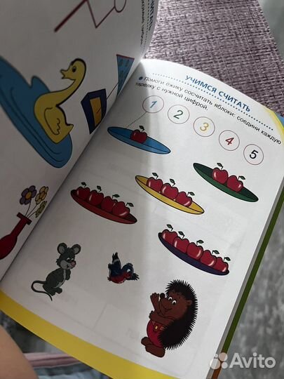 Первый учебник малыша Олеся Жукова