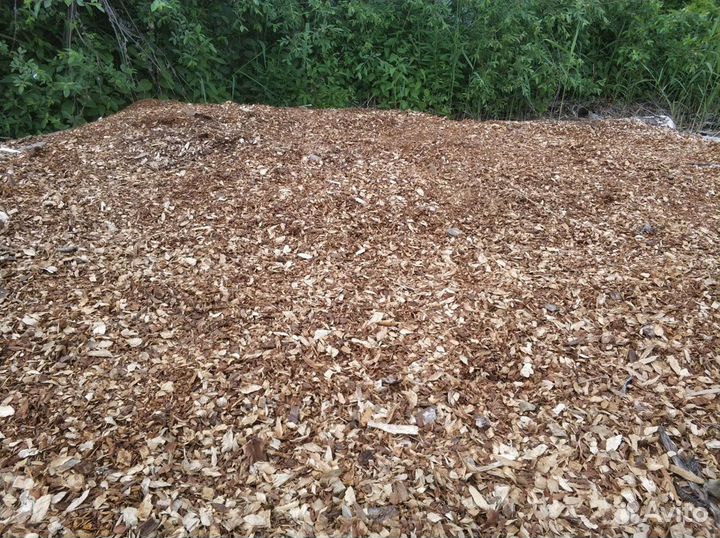 Мульча кора ольхи