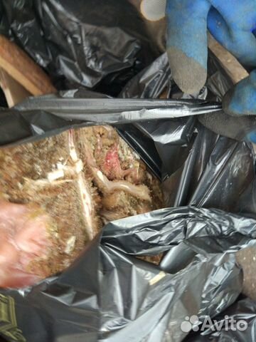 Рубец-натуральная еда для питомцев