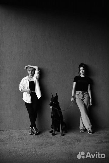 Фотосессия с доберманом