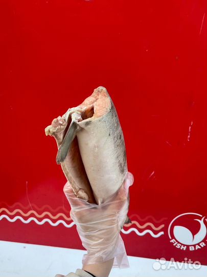 Свежемороженая горбуша