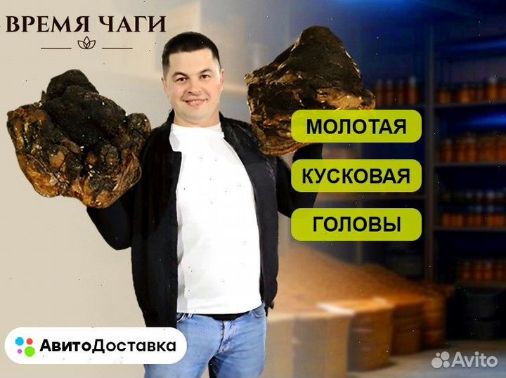 Чага сушеная / молотая и кусковая