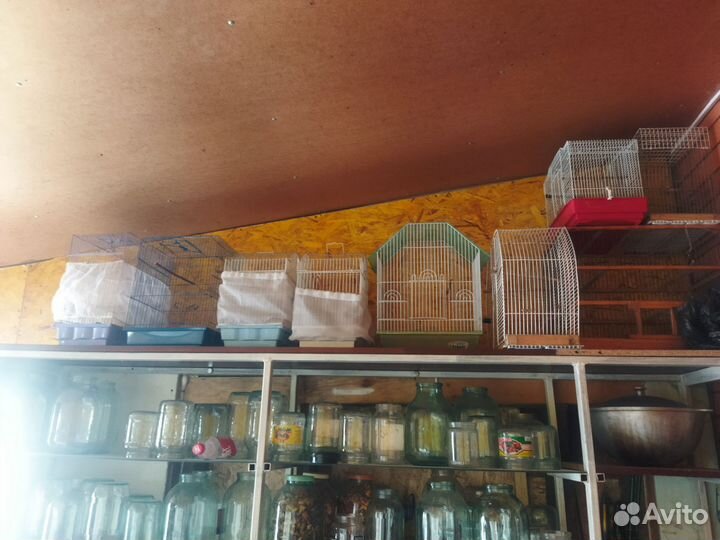 Клетка для птиц