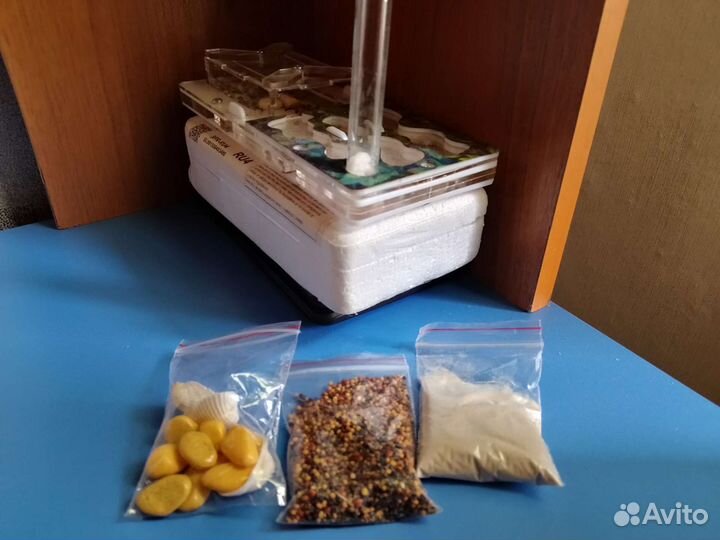 Муравьиная ферма