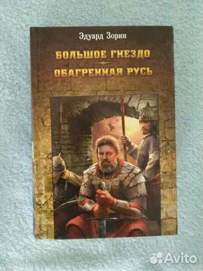 Книга Большое гнездо, Э. Зорин