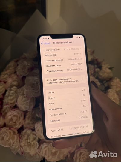 iPhone Xs Max, 256 ГБ