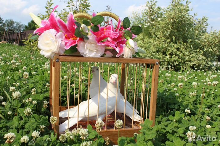 Белые голуби на свадьбу, венчание, выпускные