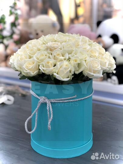 1001 501 301 201 роза