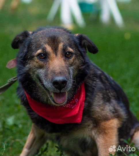 Милая Маруся