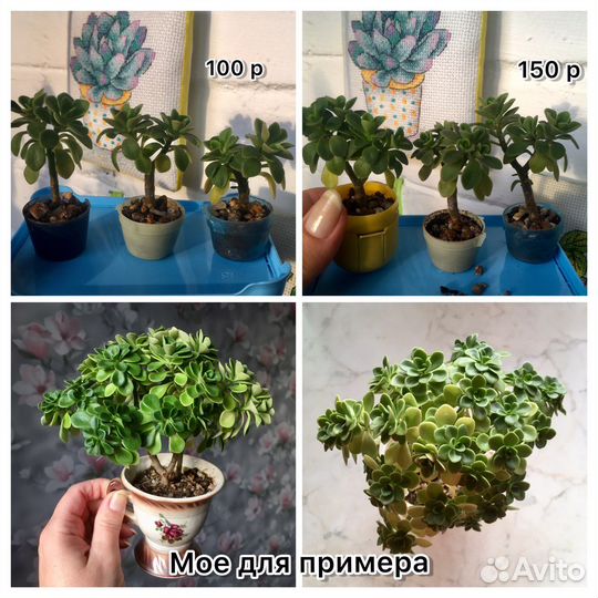 Дерево любви