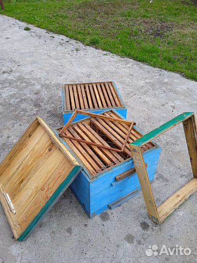 Ульи для пчел