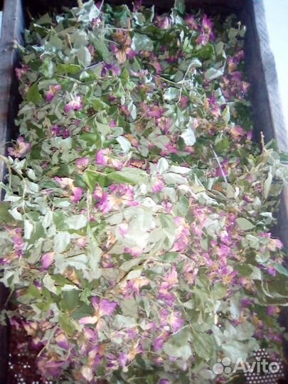 Травы,ягоды,корни