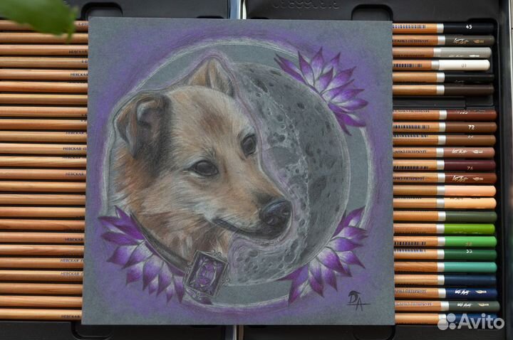 Портрет домашнего питомца, кота, собаки на заказ