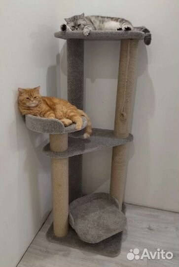 Домики для кошек, игровые комплексы, когтеточки