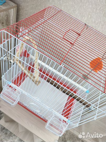 Клетка для попугая