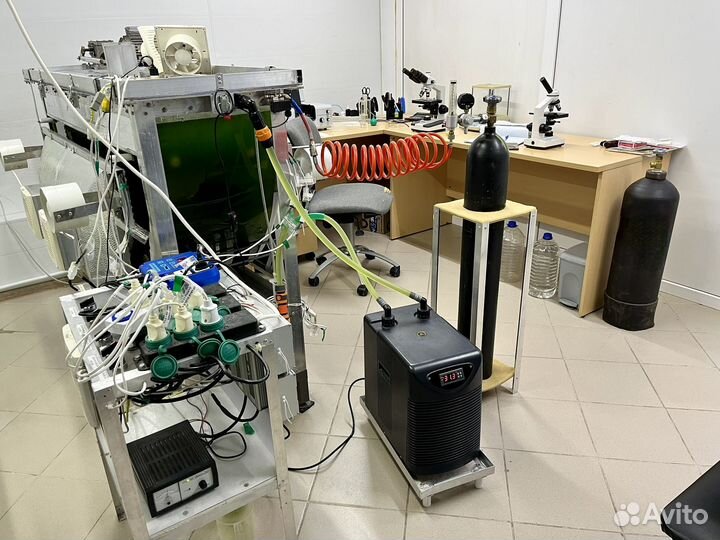 Живая микроводоросль Хлорелла 1 литр