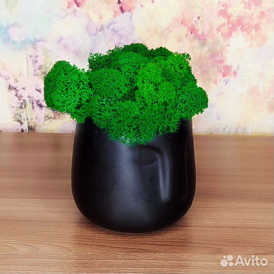 Кашпо со стабилизированным мхом