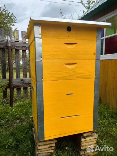 Пчелиный улей