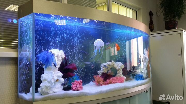 Гнутое Стекло на заказ