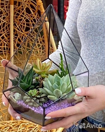 Мастер класс по созданию флорариума