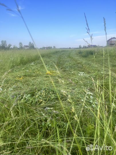 Сено в Мешках