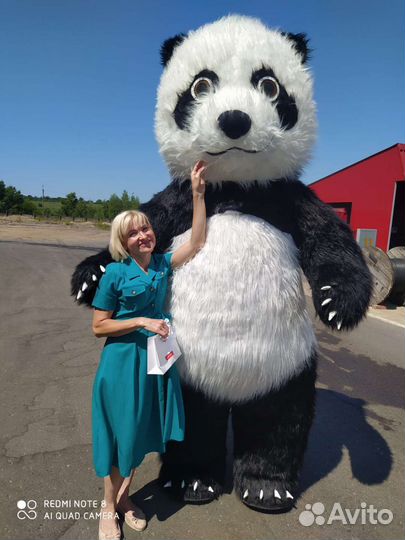 Поздравление от надувной панды