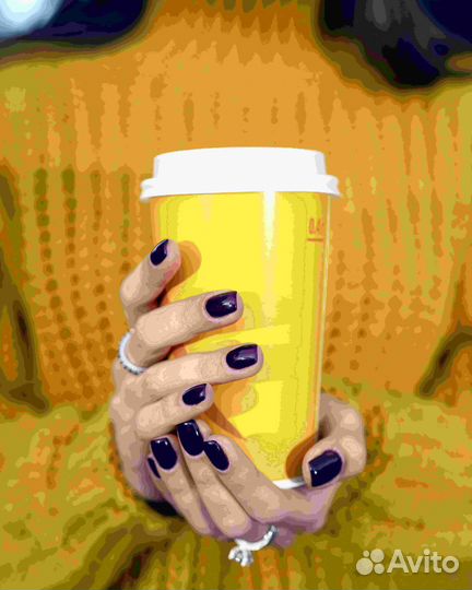 Франшиза. Готовый бизнес. Стритфуд Сеньор Денёр