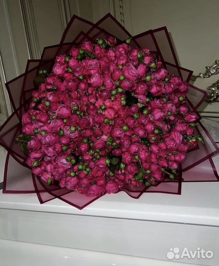 Кустовые пионовидные розы