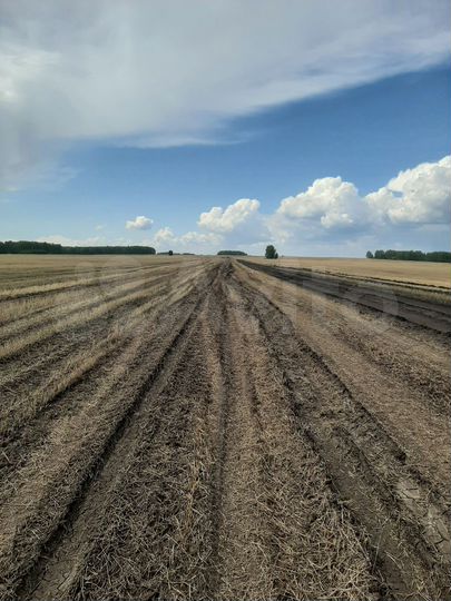 Участок 4 га (СНТ, ДНП)