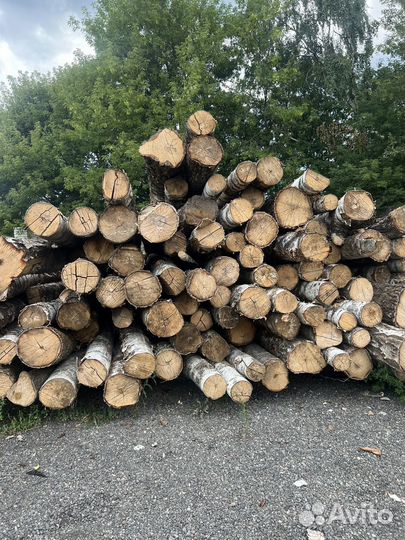 Лес кругляк береза