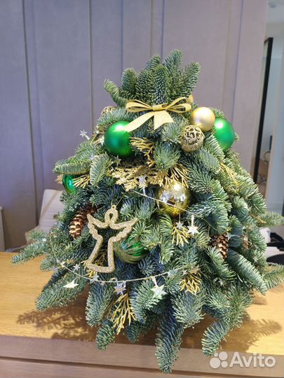 Ёлочка из нобилиса