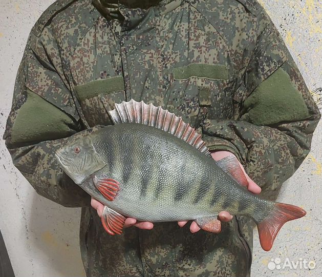 Барельеф рыба (Трафейный окунь) панно на стену