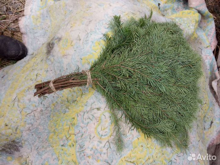 Веники пихтовый и можжевельника