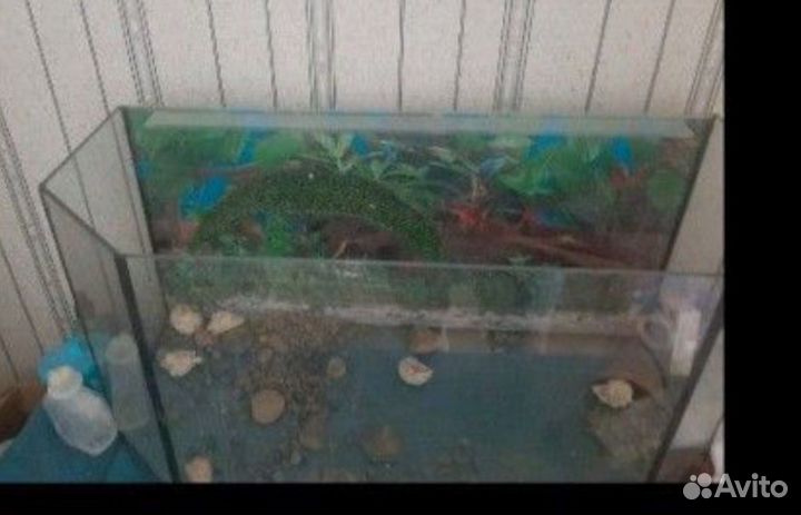 Аквариум 100 литров