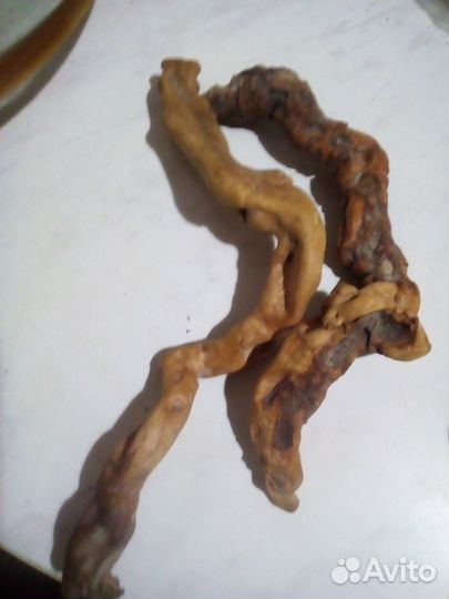 Готовый морской аквариум