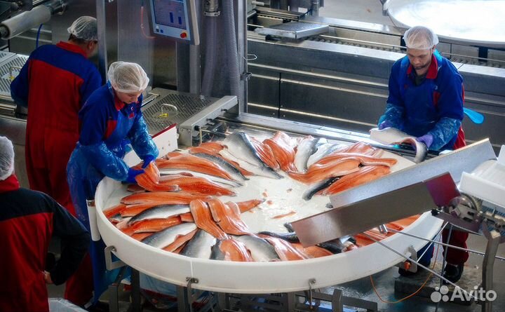 Рыбообратчики.Вахта.Камчатка