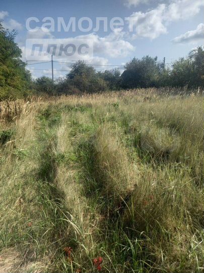 Участок 10 сот. (СНТ, ДНП)