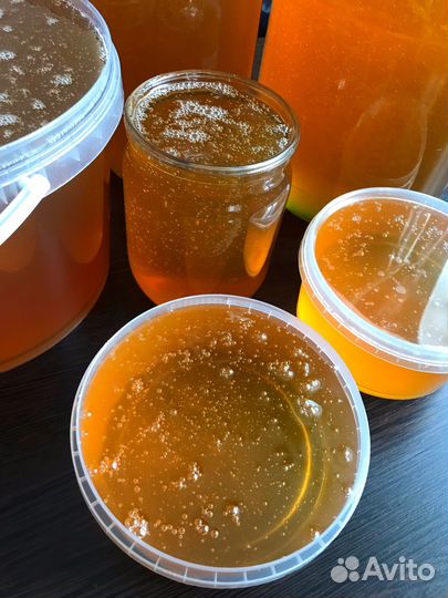 Мед липа 2023